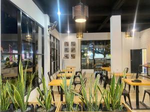 Urbanview Hotel Medio Inn Palu by RedDoorz