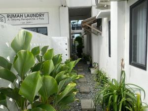 Urbanview Hotel Medio Inn Palu by RedDoorz