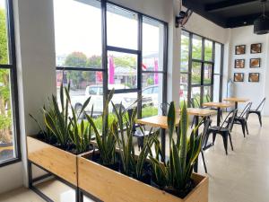 Urbanview Hotel Medio Inn Palu by RedDoorz