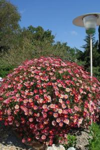 Appartement T 2 vue mer