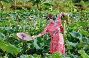 Ninh Binh Royal Homestay