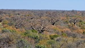 Hambana Lifestyle Lodge