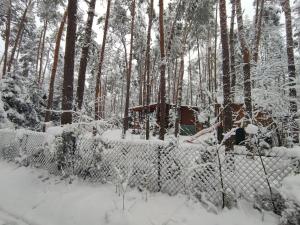 Dom w lesie nad rzeką z komnkiem