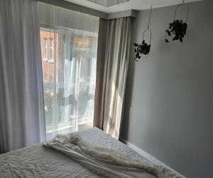 Apartament II Młyny Gdańskie blisko centrum