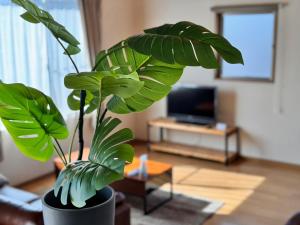 TENT OKAYAMA - 3 Bedrooms, 100m2 Private Home for Max 8 people, Ideal for Families and Groups