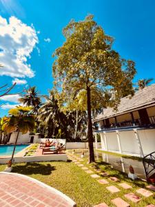 The Jam Hostel Luang Prabang