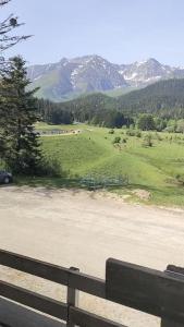 Appartements Au petit Payolle - Appartement type Chalet sur le Lac de Payolle : photos des chambres