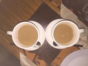 JUNGLE AERIAL ARTS NAMASTE LA Chi fan kubo 2pax