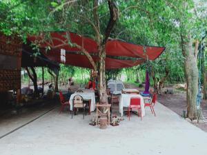 JUNGLE AERIAL ARTS NAMASTE LA Chi fan kubo 2pax