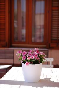 Scudaniglio Apartments