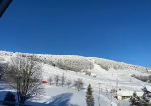 Villa Laas Oberwiesenthal