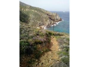 Seagull Syros Seaside