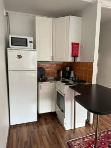 Arctic Cozy Studio in the City