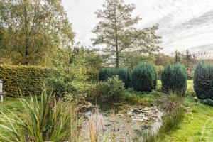 Ferienwohnungen Zum Hasenbahnhof