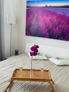 After Two Apartment - Prievoz