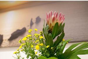 Holiday House Monalisa