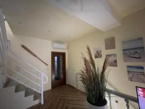 Casa Viareggina 115m2 ZonaCentro