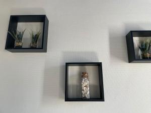 St Bruno - Studio « Palmiers »