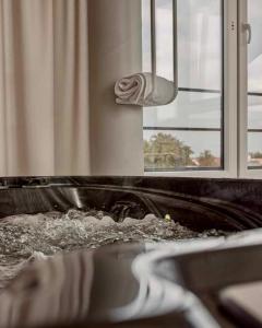 SPA apartamentai Palanga