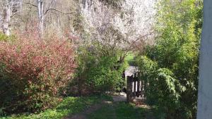La Cabanette à 10min de Disneyland Paris - Cabane & Cabanon - 3hvězdičkové hotely ve městě Chalifert