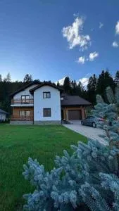 Voronet Retreat - Văleni-Stînişoara