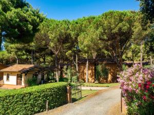 Residence with swimming-pool in Guardistallo surrounded by Nature