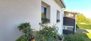 Appartements La Campagne Romantique - avec entree autonome, parking prive & gourmandises offertes - : photos des chambres