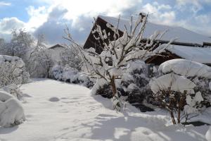 Ferienwohnung Am Anger
