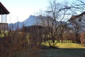 Ferienwohnung Am Anger