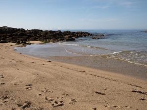 Maisons de vacances Holiday Home Ty Pendruc by Interhome : photos des chambres