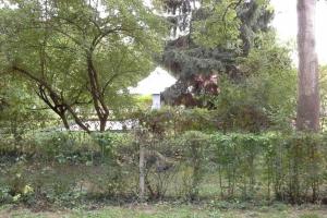 La Cabane du Pêcheur à 10min de Disneyland Paris - Cabane & Cabanon