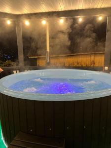 Вілла в Карпатах