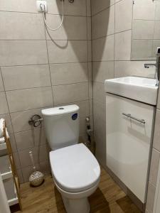Apartament Zielony Kołłątaja