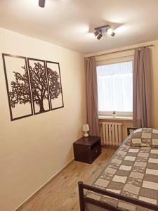 APARTAMENT CENTRUM Międzychód