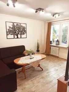 APARTAMENT CENTRUM Międzychód - Łowyń