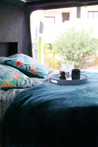 On Road- feel freedom with campervan!