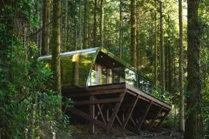 Forest Lodges - 特兹西尼德