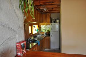 Melodia natural en San Martín de los Andes