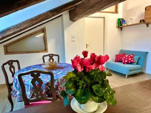 La maison dOdette - CIR 0063