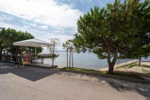 Apartments by the sea Mandre, Pag - 14918 