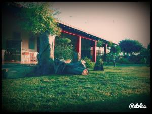 Agriturismo Il Ranch