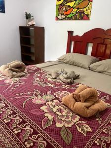 hostal Camping la ygriega
