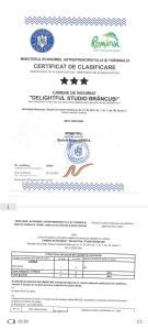 Delightful Studio Brâncuși