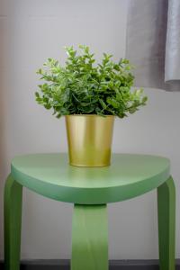 Luxury Boutique Studio London