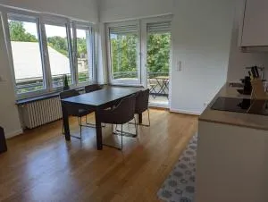 Refurbished 1BR Apartment in Limpertsberg - Limpertsberg