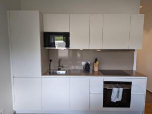 Refurbished 1BR Apartment in Limpertsberg