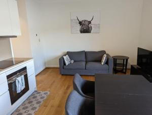 Refurbished 1BR Apartment in Limpertsberg