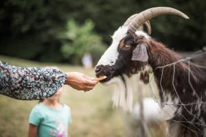 B&B / Chambres d'hotes Les Filolies : photos des chambres