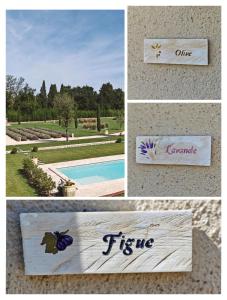 B&B / Chambres d'hotes Mas Sourso : photos des chambres