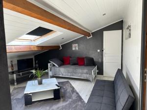 Appartements Appartement mansarde et climatise 50 m2 : photos des chambres